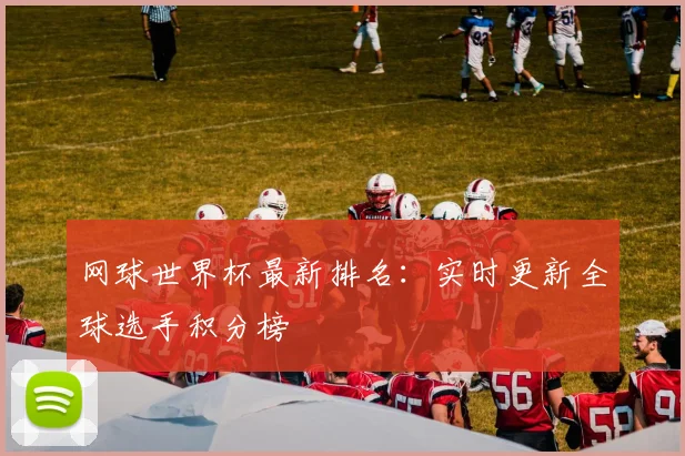 网球世界杯最新排名：实时更新全球选手积分榜