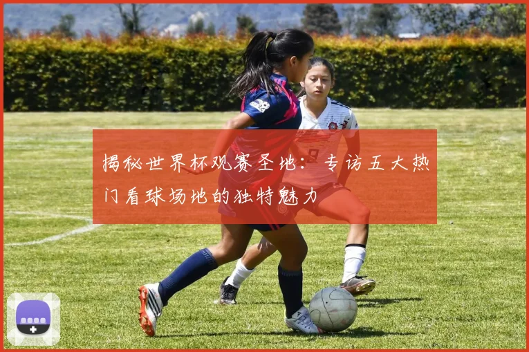 揭秘世界杯观赛圣地：专访五大热门看球场地的独特魅力