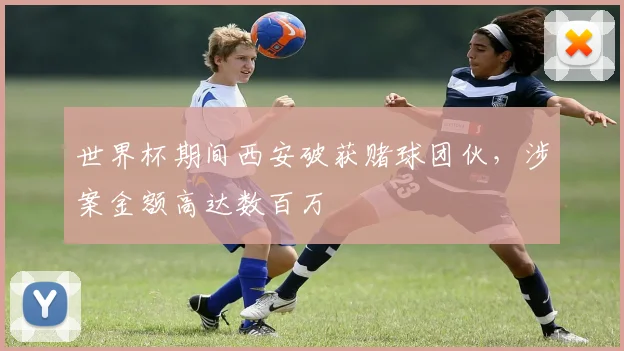世界杯期间西安破获赌球团伙，涉案金额高达数百万