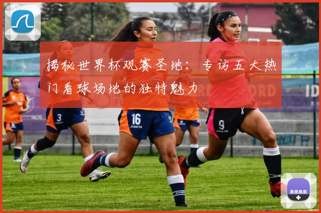 揭秘世界杯观赛圣地：专访五大热门看球场地的独特魅力