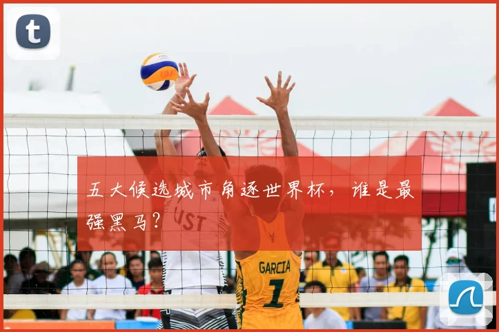 五大候选城市角逐世界杯，谁是最强黑马？