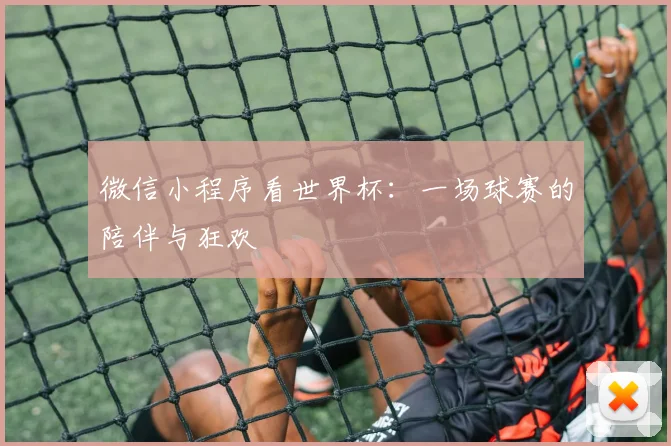 微信小程序看世界杯：一场球赛的陪伴与狂欢