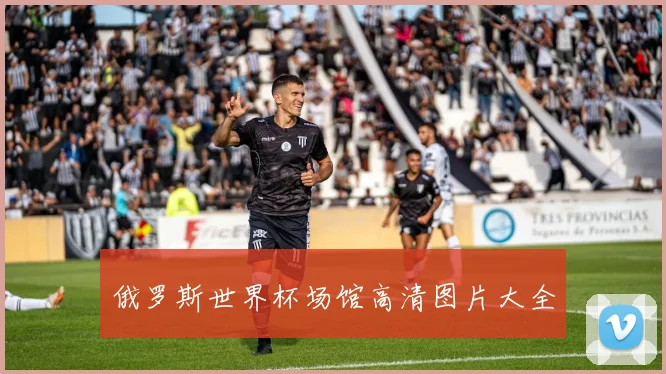 俄罗斯世界杯场馆高清图片大全