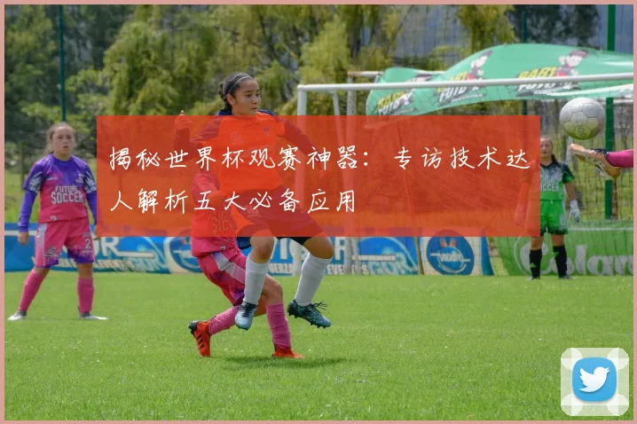 揭秘世界杯观赛神器：专访技术达人解析五大必备应用