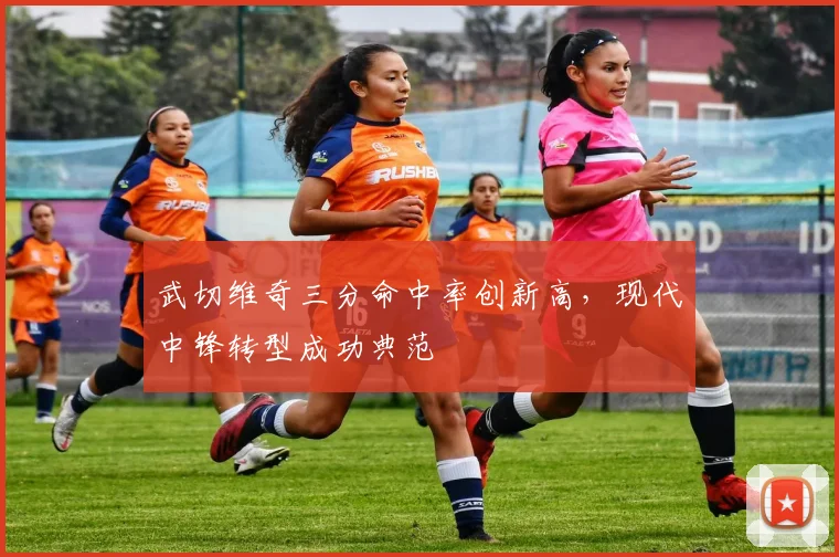 武切维奇三分命中率创新高，现代中锋转型成功典范