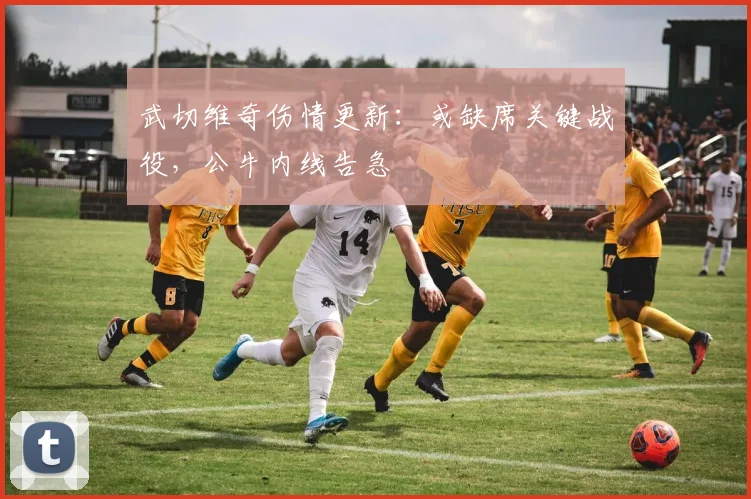 武切维奇伤情更新：或缺席关键战役，公牛内线告急