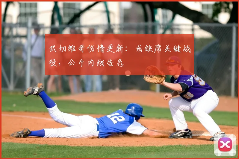 武切维奇伤情更新：或缺席关键战役，公牛内线告急