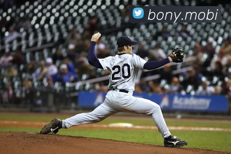 开云手机入口官方网站APP 体育赛事宣传图